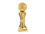 Trophee resine discipline or basket