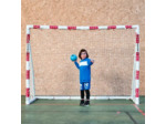 But de handball pvc 2.40x1.70m