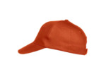 Texas bull cap