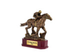 Trophee resine discipline bronze eq