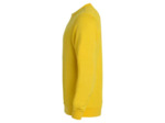 Sweat col rond basic adulte