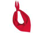 Fiesta-bandana