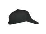Texas bull cap