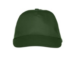Texas bull cap