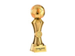 Trophee resine discipline or footba