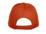 Texas bull cap