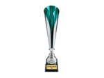 Coupe classique argent/vert(e) haut