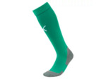 Chaussettes liga core