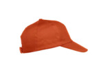 Texas bull cap