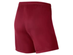 WOMEN'S NIKE DRI-FIT PARK III SHORT