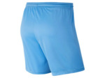 WOMEN'S NIKE DRI-FIT PARK III SHORT