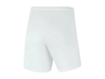 WOMEN'S NIKE DRI-FIT PARK III SHORT