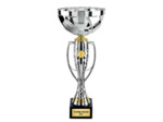 Coupe class arg/or h 42 cm d 180 mm