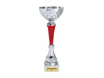Coupe economique argent/rouge haute