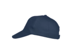 Texas bull cap