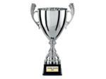 Coupe argt 44cm bol diam180mm
