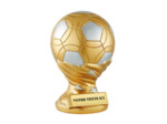 Trophee resine trophee foot h.23 cm