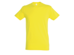 T-shirt regent junior