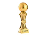 Trophee resine discipline or petanq