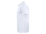 Basic active polo