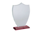 Trophee verre et bois personnalisab
