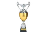 Coupe prestige argent/or hauteur 55