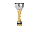Coupe classique argent/or hauteur 3