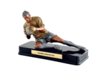 Trophee resine gardien 35x23cm