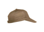 Texas bull cap