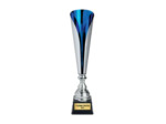 Coupe classique argent/bleu(e) haut