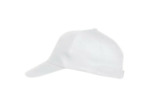 Texas bull cap