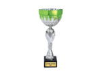 Coupe classique argent/vert(e) haut