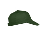 Texas bull cap
