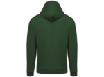 Sweatshirt capuche junior