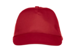 Texas bull cap
