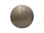 Gymball/balle gymnique 55cm