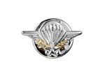 Brevet parachutisme petit modèle
