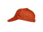 Texas bull cap