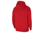 Y nk flc park20 po hoodie
