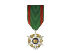 Med du merite agricole-chevalier