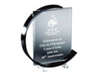 Trophee plexi epaiss 10+4mm h.22 cm