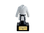 Trophee plastique judo h 13 cm
