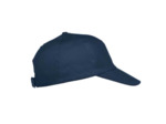 Texas bull cap
