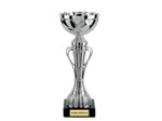 Coupe eco arg h 21 cm d 80 mm