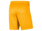 Short park knit iii homme