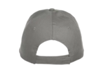 Texas bull cap