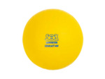 Ballon de volley initiation sea