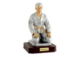 Trophee resine judo homme h.28 cm
