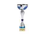Coupe classique argent/bleu(e) haut