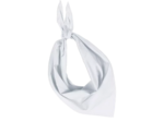 Fiesta-bandana